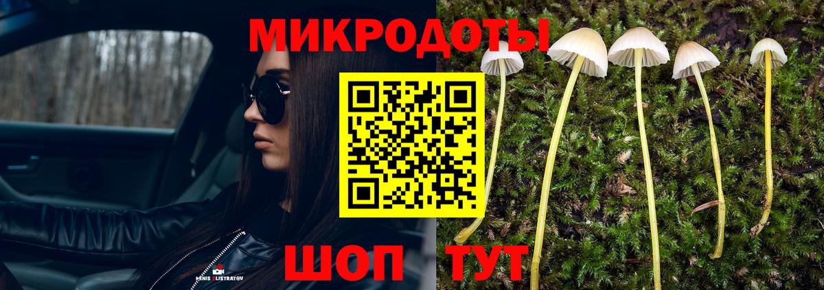 Галлюциногенные грибы GOLDEN TEACHER Бахчисарай
